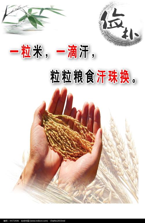 鎮西学院大学商科文凭证书